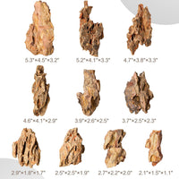 6.1-8.1 Inches Natural Dragon Stone, Terrariums - 2.2-4.1 in - image 3