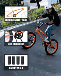 vollsch RUCKUS 20 inch kids freestyle BMX bike with pegs - view 39