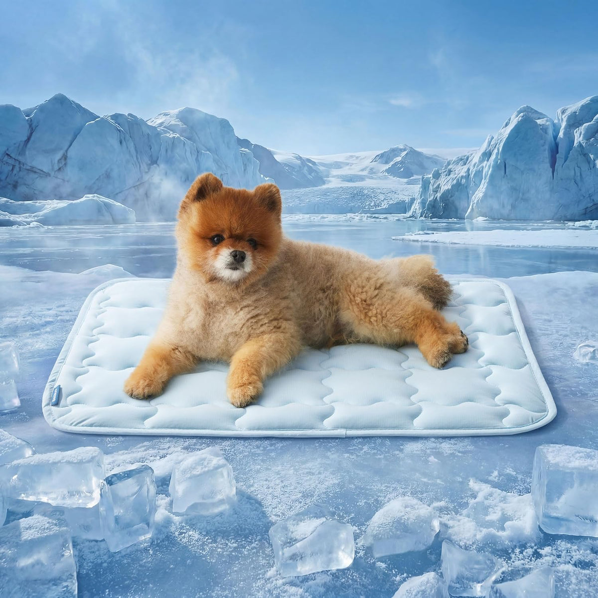 Bedsure ArcticMax Cooling Mat for Large Dogs - Baby Blue / 24"L x 18"W
