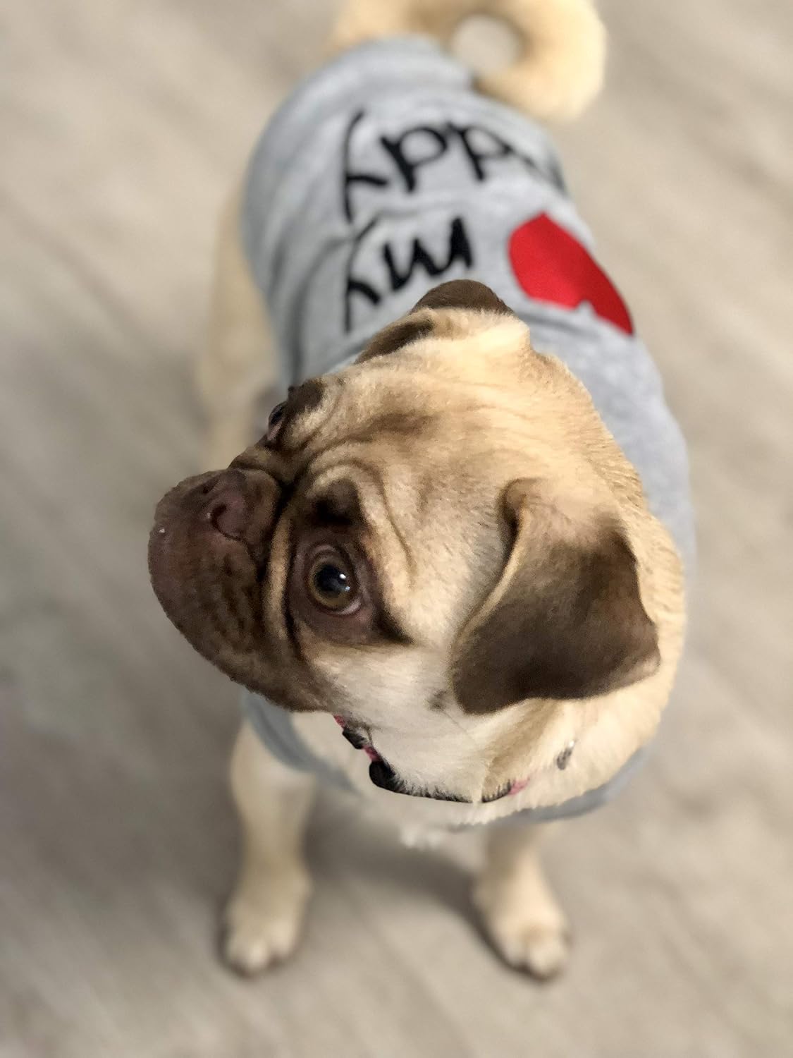 Parisian Pet Dog Shirt, 100% Cotton Shirts for Medium Dogs - I Love My Daddy / X-Large (18-25lbs) - image 4