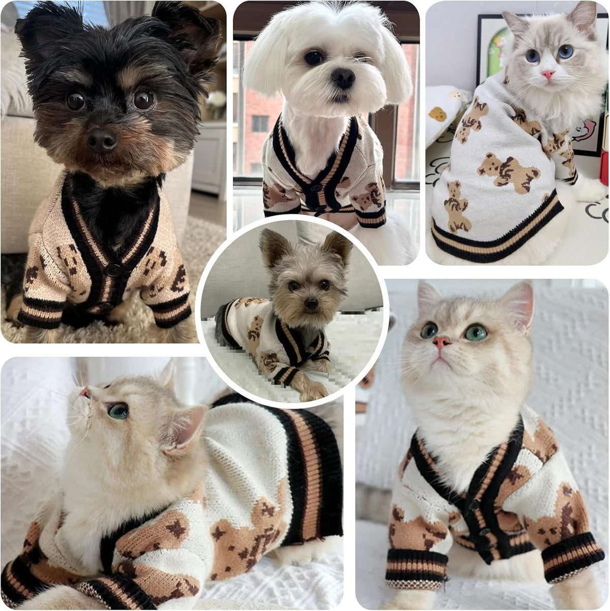 Small dog sweater cardigan with cute bear pattern and button closures - view 2