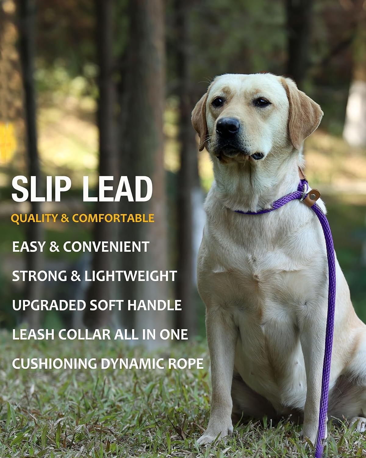 Dog Leash Slip Lead Braided Rope Pet Training Loop Leashes 5ft 6ft 8ft – Essentials for Dogs - Purple / 2PCS Slip Lead-1/2in x 5ft Large - image 4