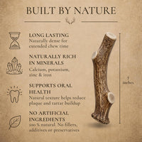 WhiteTail Naturals 12 Pack Whole Deer Antlers for Petite Dogs Up - Large (Pack of 1) - image 3