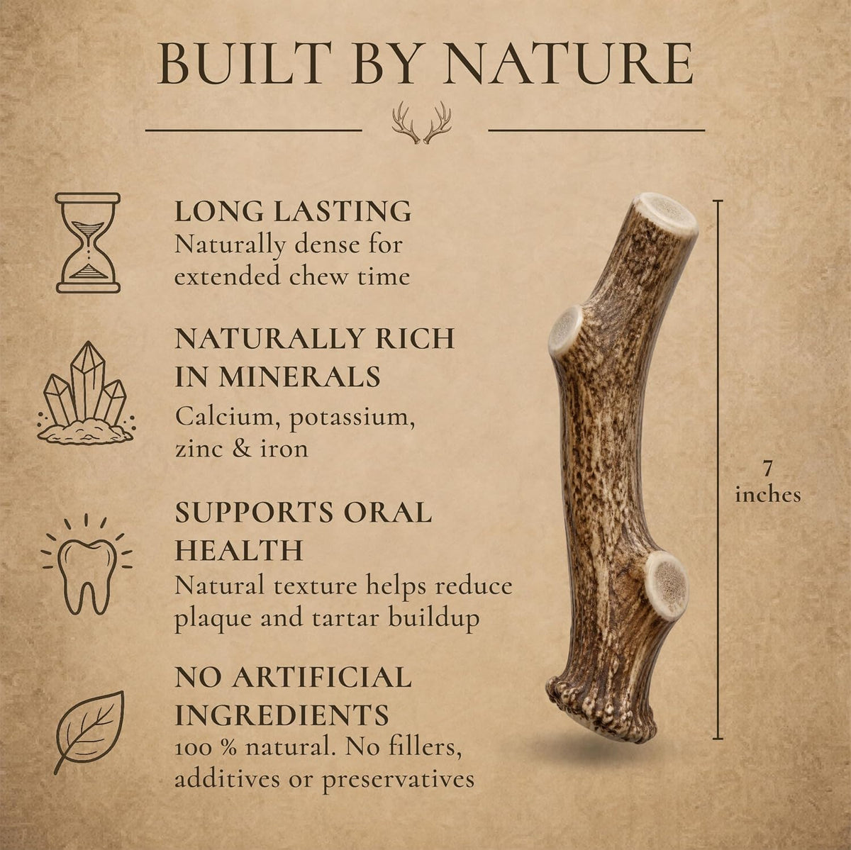 WhiteTail Naturals 12 Pack Whole Deer Antlers for Petite Dogs Up - Large (Pack of 1) - image 3