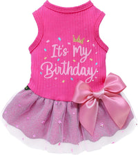 Fitwarm Halloween Skeleton Dog Dress - Large / It's My Birthday