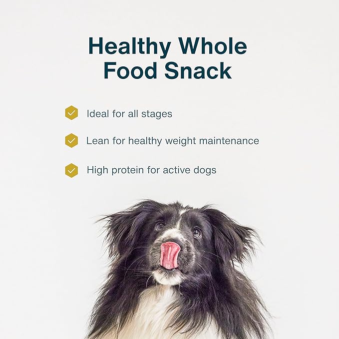 JustFoodForDogs Limited-Ingredient Pumpkin Healthy Dog Treats, Made in The USA, 5 oz