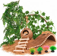 10PCS Crested Gecko Tank Accessories - 10 Piece with Single Coconut Shell