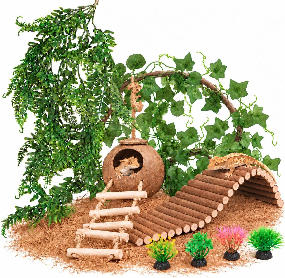 10PCS Crested Gecko Tank Accessories - 10 Piece with Single Coconut Shell