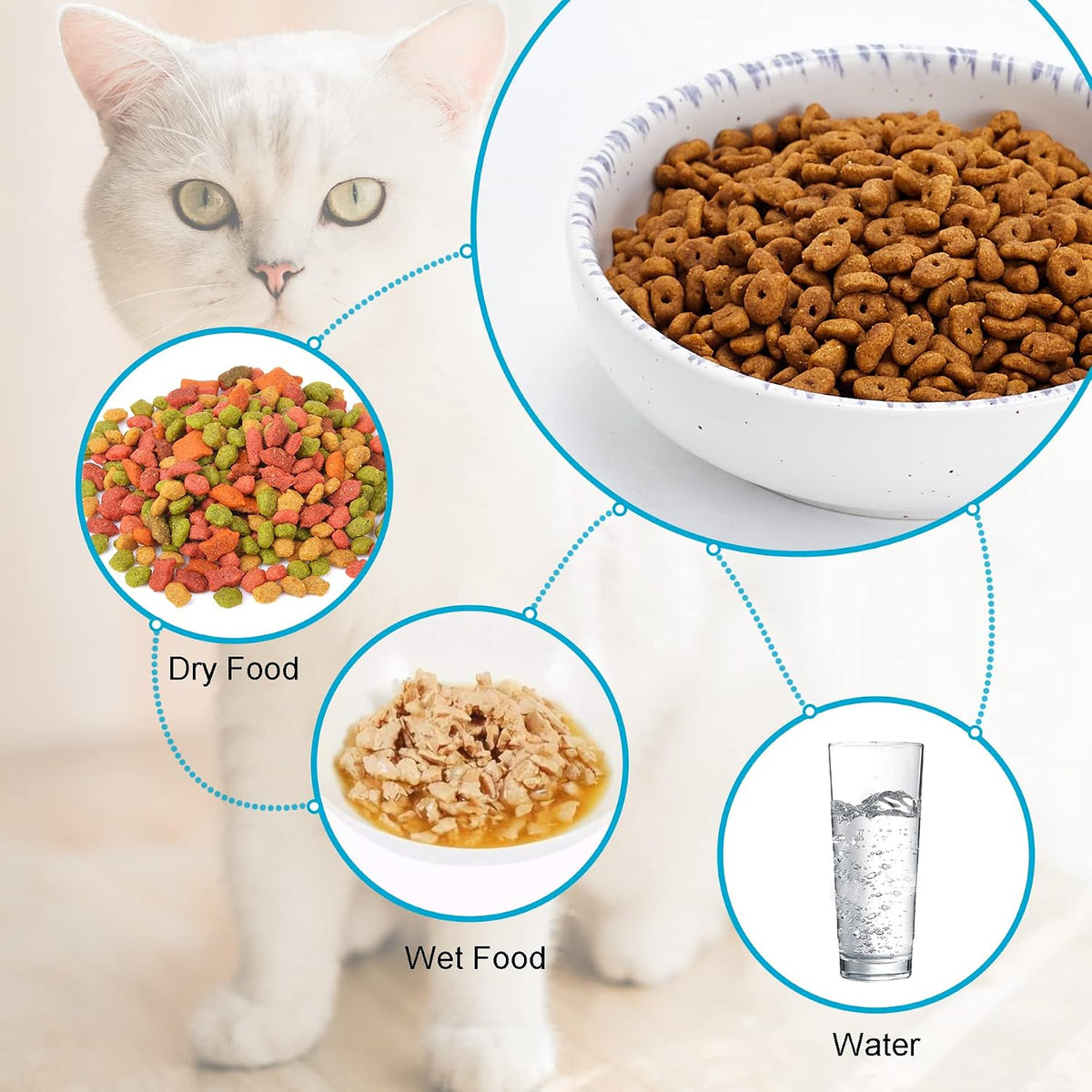 Ceramic Cat Bowls, Howise Pet Bowl Cat Dishes for Food and Water - violet blue - image 2