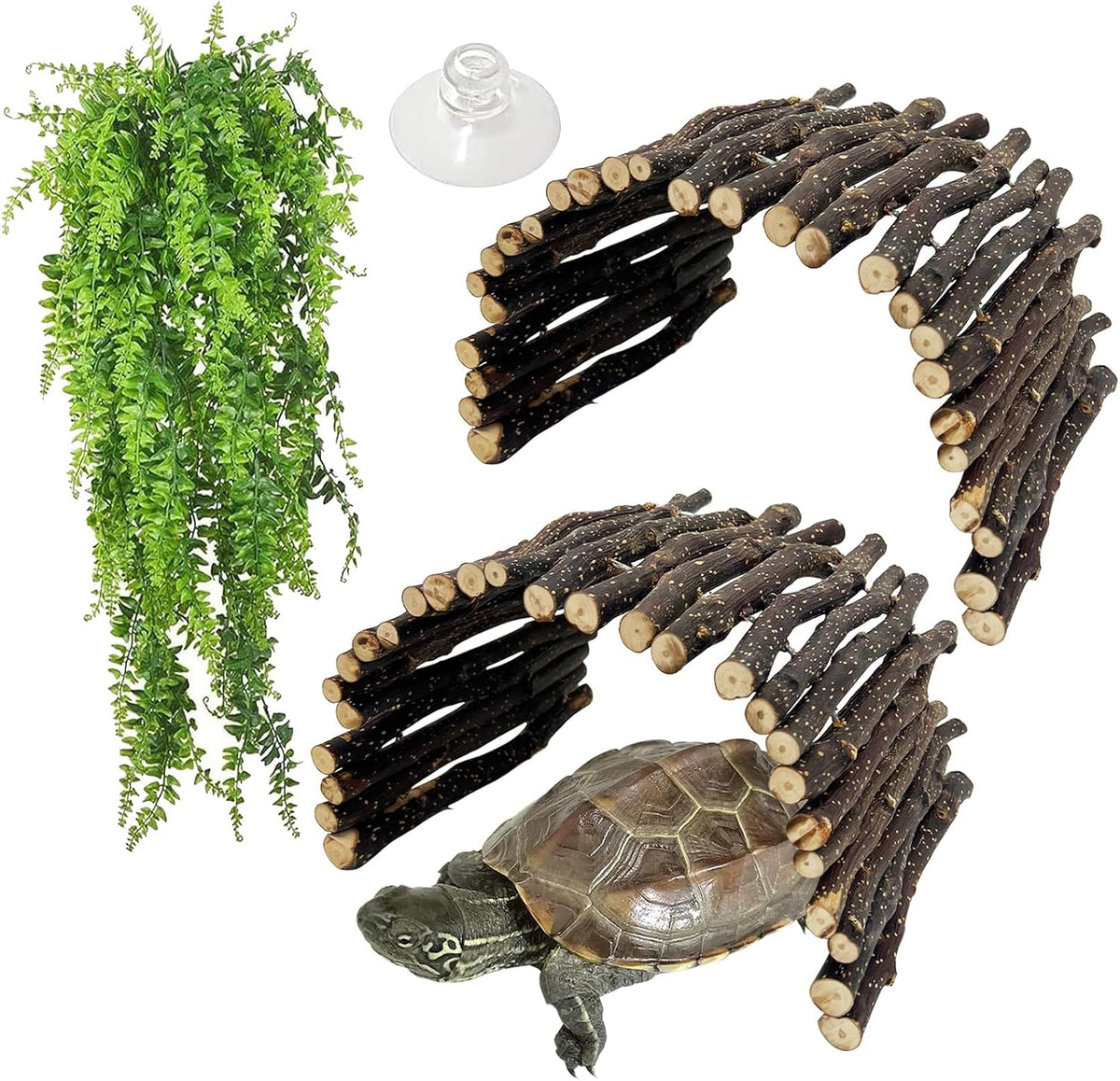 Extra Large Tortoise Hide Reptile Hideout Wood Turtle Tunnel – Essentials for Reptiles And Amphibians - L-15.8 x 7.9-3 PACK