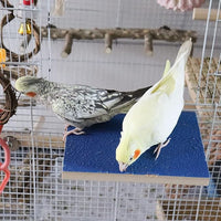 7.9×5.9 Inches Large Bird Perch Stand Platform, Natural Wooden Bird Cage Accessories, Bird Stand Perch with Rough Quartz Sand Surface for Parrot, Parakeet, Budgies, Cockatiel, Rats