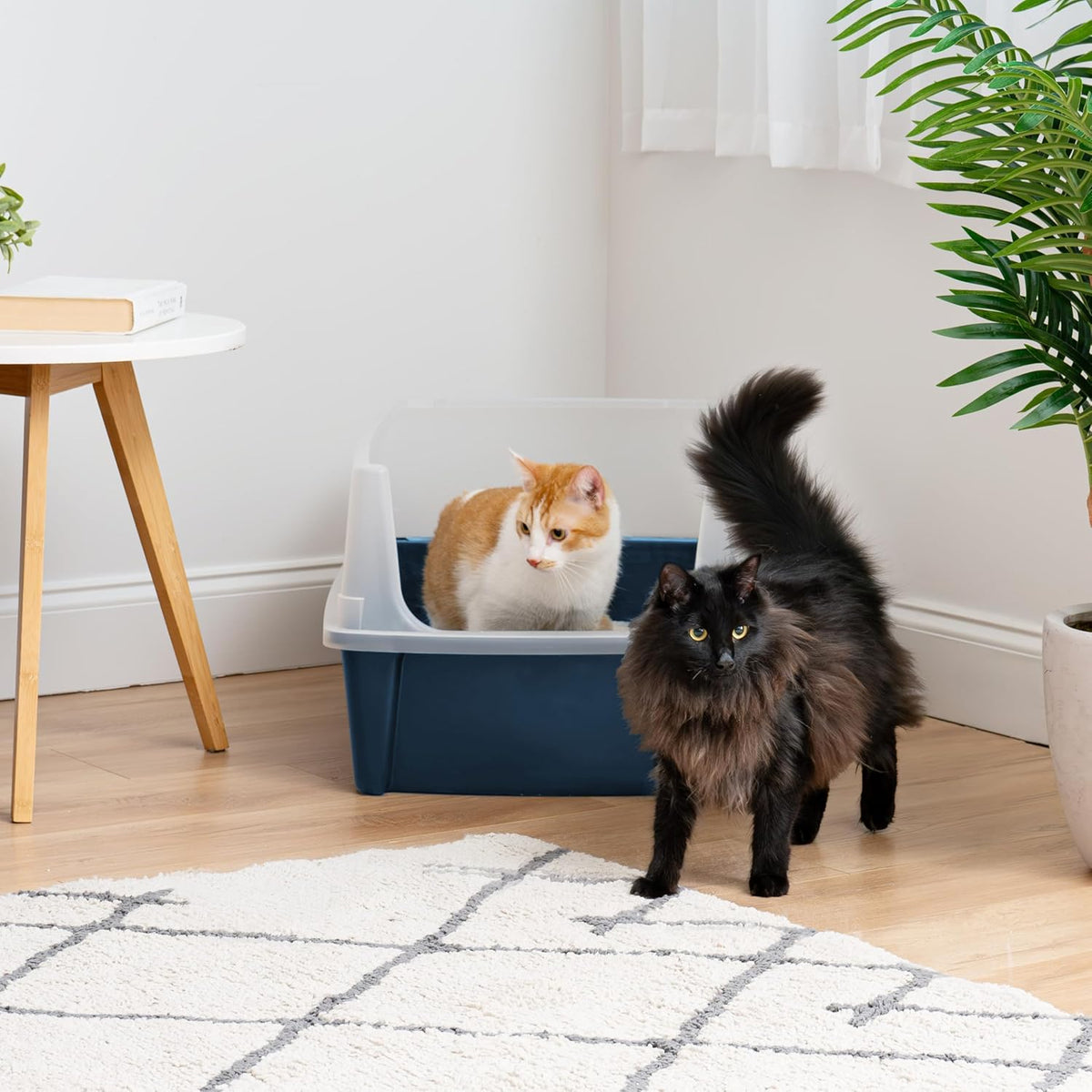 IRIS USA XX-Large High Sided Cat Litter Box, Scatter Shield - XXL / Navy - image 3