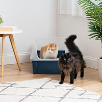 IRIS USA XX-Large Cat Litter Box, Open Top Extra Large Litter Box for Big Cats and Multi-Cat Households, High Sided Scatter Shield, Easy to Clean, 30" L x 20" W x 14" H, Navy