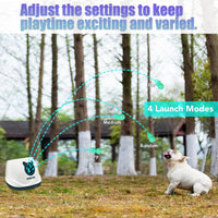 Automatic Dog Ball Launche with 9 Balls – Essentials for Dogs - WHITE - image 2