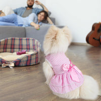 Dog Dress, Cute Pet Princess Dresses with Bright Color Design - Rose PinkBlue / X-Small - image 4