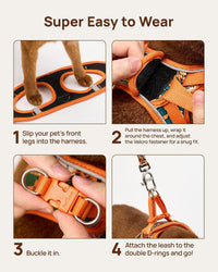 Upgraded Cat Harness and Leash Set - Orange King of The Jungle / L - image 2
