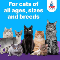Freedom Joint Drops for Cats with Hyaluronic Acid, MSM, Glucosamine, & Chondroitin, All Natural Cat Joint Supplement for Mobility, Powerful Glucosamine for Cats, Cat Pain Relief, 30ml Dropper