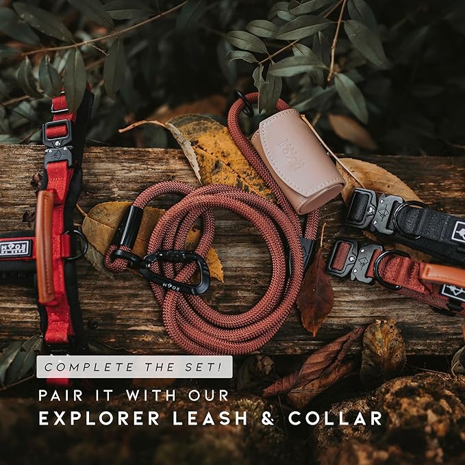 MADE TO ROAM Premium Explorer Harness - Y-Shaped Dog Harness with Adjustable Durable Nylon, Soft Padding, Metal Buckles and Leather Handle for Small, Medium, Large Dogs (Carolina Blooms, Size 2)
