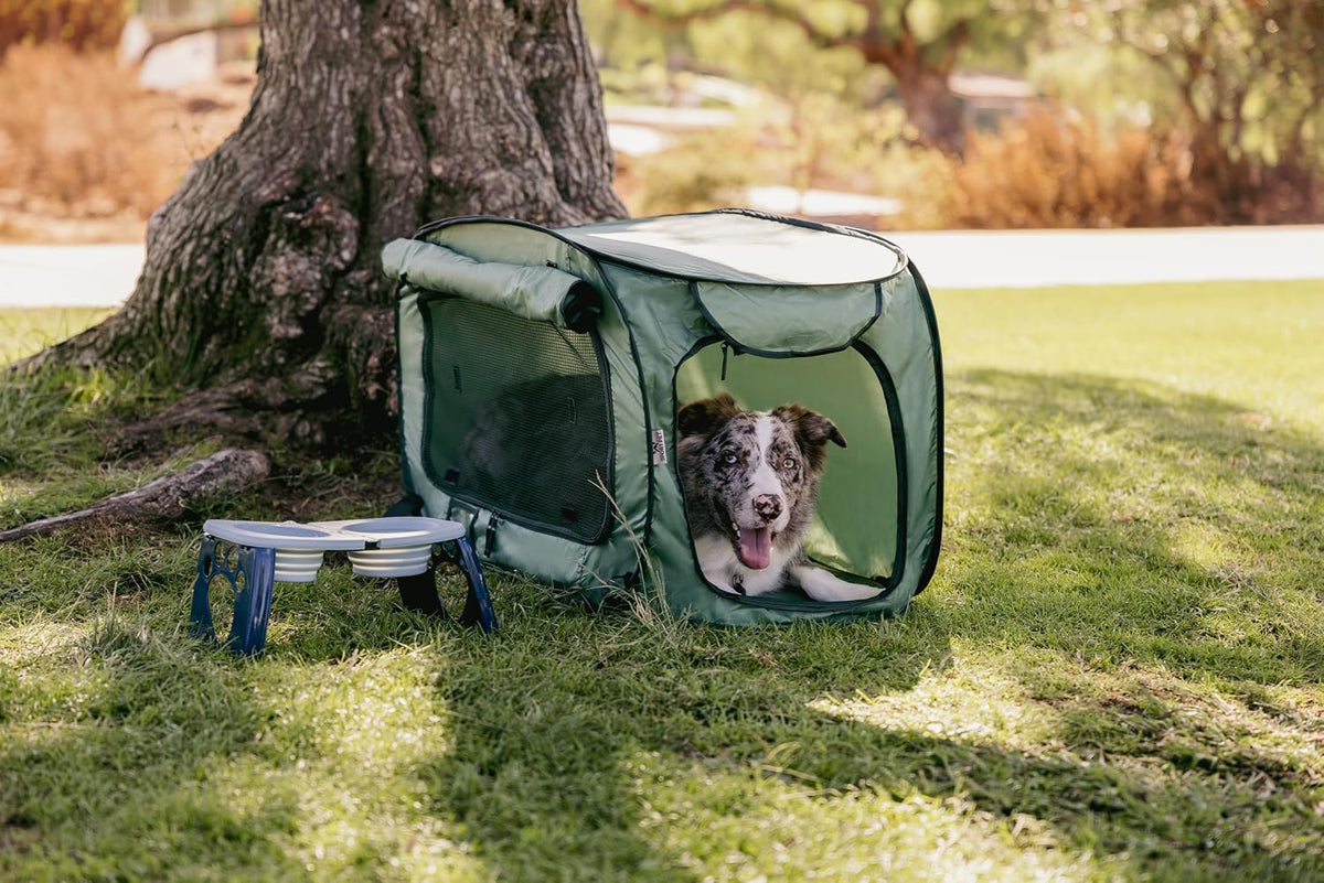 SportPet Designs Large Pop Open Kennel, Portable Cat Cage Kennel - Green - image 4