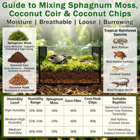 9 OZ Sphagnum Moss for Reptiles, Green Terrarium Moss - 12OZ - image 2