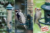 Valley Farms Woodpecker Mix (15 LB) Wild Bird Food for Outdoor Feeders, No Mess Bird Seed, W/Peanuts and Sunflower Hearts for Birds, Woodpecker Food, Attract All Bird Species