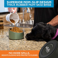 Master Pet Supply Stainless Steel Slanted Dog Cat Food Bowl 24 oz - Black Velvet / 3 Cups (24 oz) - image 3