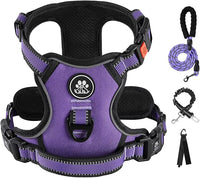 IVY&LANE No Pull Dog Harness for Large Dogs, Dog Vest Harness with Leash, Safety Belt and Storage Strap, Fully Adjustable Harness, 360° Reflective Strip, Soft Handle (Purple, XL)