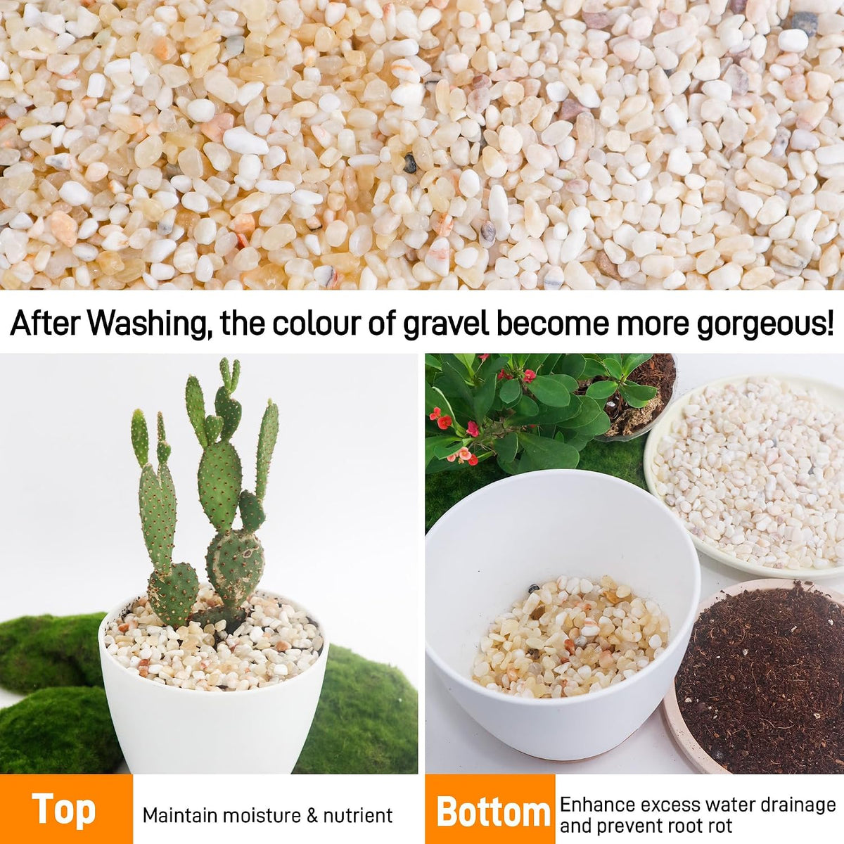 CJGQ 2.4lb Aquarium Gravel for Plants - Mixed Beige / 2.4 lb (1/5 in) - image 4