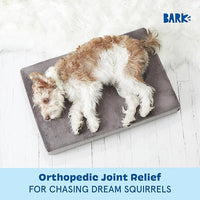 Barkbox Orthopedic Dog Bed with Memory Foam, Premium Comfort for Dogs and Puppies, Dog Bed for Joint Relief and Restful Sleep, Durable and Easy to Clean - Grey, Small