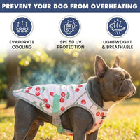 Spark Paws Dog Cooling Vest, Evaporative Summer Cooling - Cherries / XX-Large - image 2