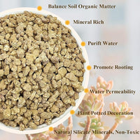 2 lbs Maifanitum Stones for Succulent,1/4 Inch Decorative Rocks for Indoor Plants, Bonsai, Soil Cover. Small Stone of Lightweight for Promote Soil Root Growth, Water Drainage and Plant Growth