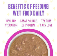 Weruva B.F.F. OMG - Best Feline Friend Oh My Gravy!, Chicken & Duck Dream Team with Chicken & Duck in Gravy, 5.5oz Can (Pack of 8)