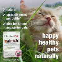 HomeoPet Feline UTI Plus, Safe and Natural Urinary Tract Medicine for Cats, Feline Urinary Tract Support, 15 Milliliters - Pack of 2