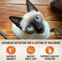 Wellness CORE Tiny Tasters Pate Adult Wet Cat Food, Natural, Protein-Rich, Grain Free, 1.75 Ounce Pouch, 12 Pack (Chicken)