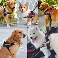 JSXD Dog Harness,No-Pull Service Dog Harness with Handle Adjustable Outdoor Pet Dog Vest 3M - XL / Red - image 4