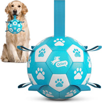 QDAN Dog Balls, Outdoor Dog Toys - Large Size 3 / Light Blue
