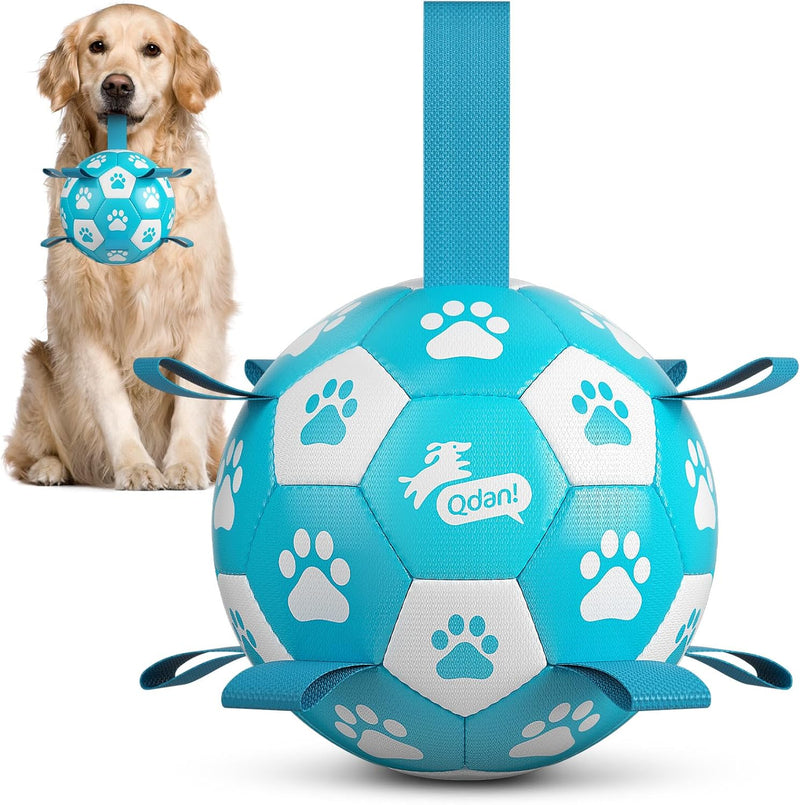 QDAN Dog Balls, Outdoor Dog Toys - Large Size 3 / Light Blue