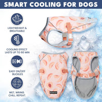Spark Paws Dog Cooling Vest, Evaporative Summer Cooling - Peaches / Small - image 4