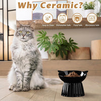 Ceramic Raised Cat Bowl，Tilted Raised Cat Bowl Anti Vomit Cat Bowls - Black - image 2