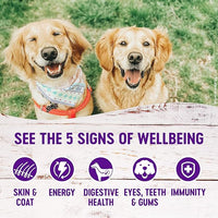 Wellness Wet Canned Dog Food, Pate Variety Pack, 12.5 Ounce Can (Pack of 6)