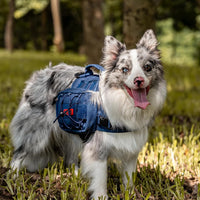 OneTigris Dog Backpack for Medium & Large Dogs - Blue / Medium - image 3