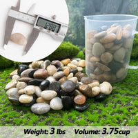 45lb White Rocks for Plants, Potting - 3LB / Colour - image 2