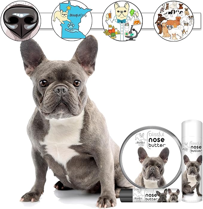 The Blissful Dog Blue French Bulldog Unscented Nose Butter - Dog Nose Butter, 0.50 Ounce