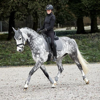 HORZE Adepto Padded All Purpose Quilted Equestrian Saddle Pad for Horses with Two-Tone Trim