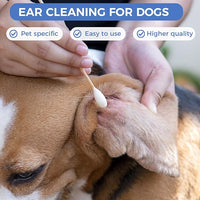 GOLD HONEY 6 Inch Large Cotton Swabs, 100PCS Dog Ear Swabs with Bamboo Handle for Dogs, Pet-Specific, Gentle Design, Lint-Free, Canine Cotton Stick Ear Cleaning