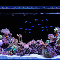 CURRENT USA 48-60" Inch Orbit Marine IC Loop LED Saltwater Reef Marine Aquarium Light with Bluetooth App Control | Wireless Lighting & eFlux Wave Pump Control for Fish Tank (4207)