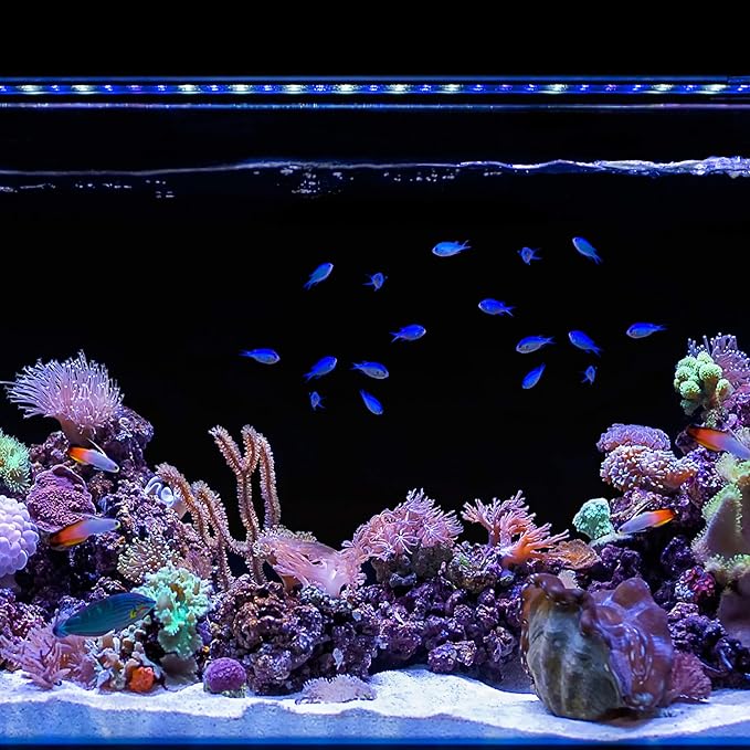 CURRENT USA 48-60" Inch Orbit Marine IC Loop LED Saltwater Reef Marine Aquarium Light with Bluetooth App Control | Wireless Lighting & eFlux Wave Pump Control for Fish Tank (4207)