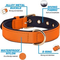 Didog Soft Padded Dog Collars for Small Dogs, Lightweight and Breathable Dog Collar with Metal Buckle, Orange, M