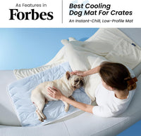 Bedsure Cooling Mat for Large Dogs - 35" x 23" (L-Crate) / Blue - image 2