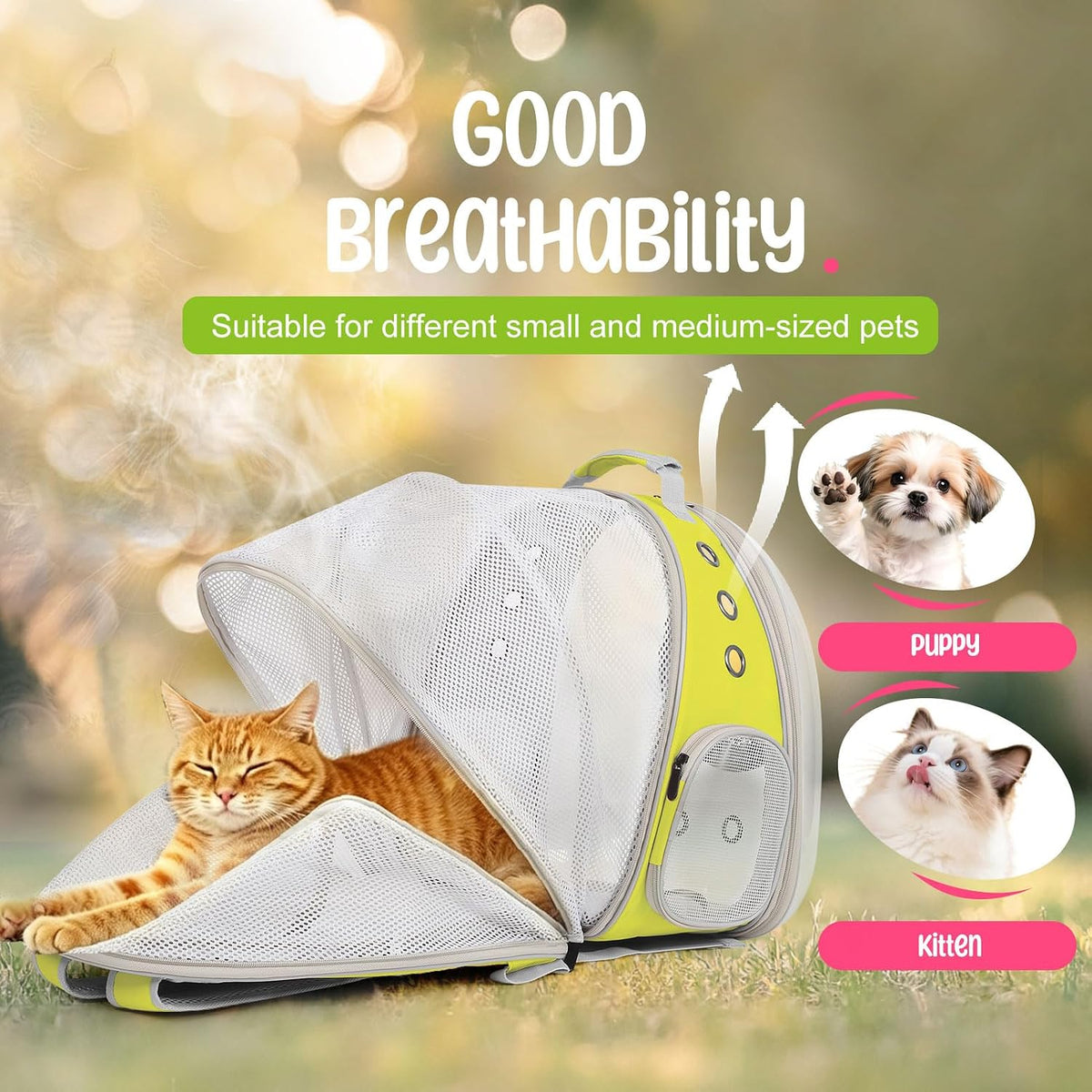 Dual Expandable Large Cat Backpack Carrier – Essentials for Cats - Yellow / Clear Window - image 4